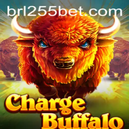 255Bet.COM Exclusive Offers
